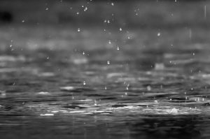 雨の日のあれこれ