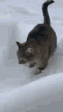 アーシングって？