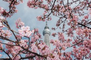 各種故障の当日修理可能です♪【渋谷店】