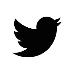 インスタやツイッターのデータ移行ってどうするの？？【Twitter編】