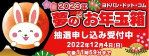 iPadなど・・ヨドバシ福袋抽選始まる！！