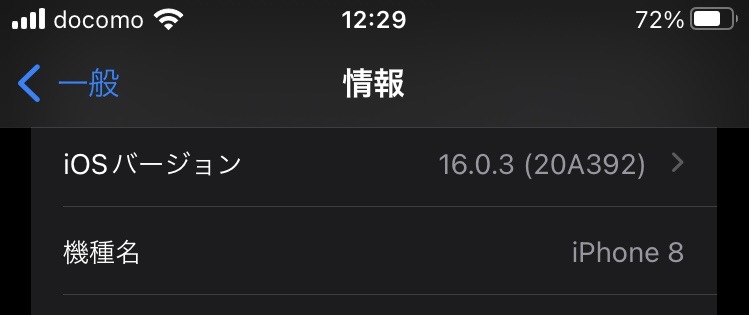 iPhone8(IOS16.0.3)