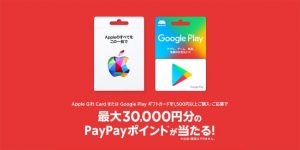 セブン‐イレブンでApple Gift Cardを1,500円以上購入すると、抽選で最大30,000円分のPayPayポイントが当たるキャンペーン実施中！！