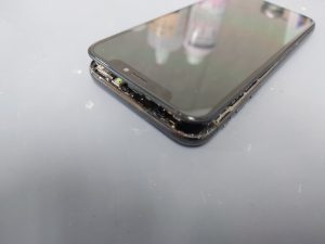 夏のダメージの発覚は秋に…